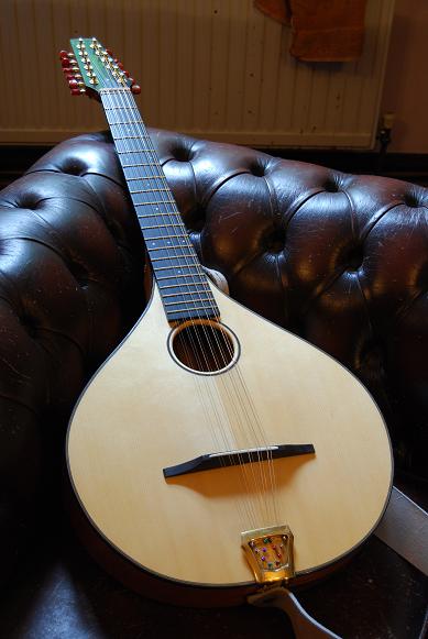 Fylde 
				12 string bouzouki.